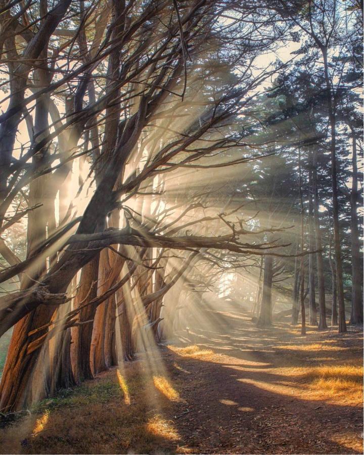Stunning Oceanview Coastal Home Beach Trails Family Activities Montara Εξωτερικό φωτογραφία