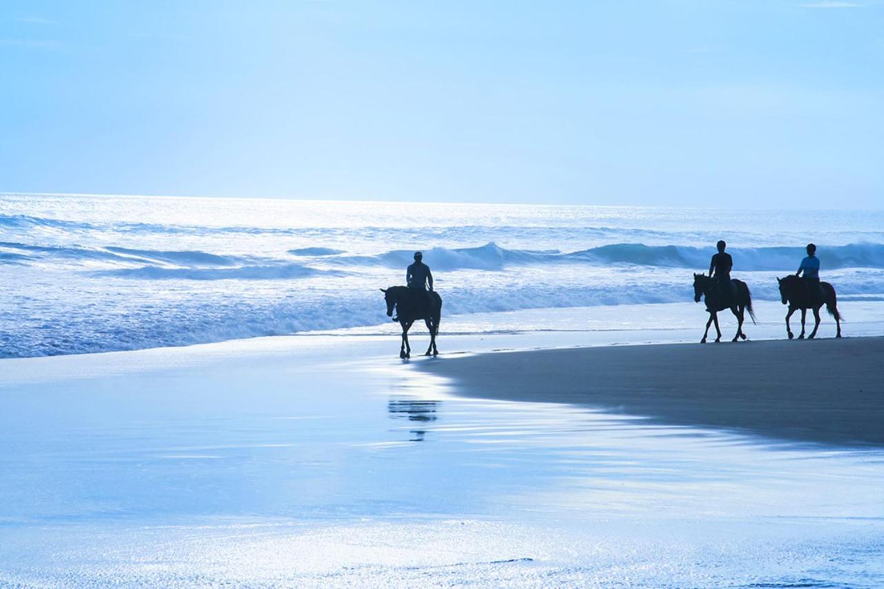 Stunning Oceanview Coastal Home Beach Trails Family Activities Montara Εξωτερικό φωτογραφία
